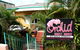 Orchid Guest House - thumb 0