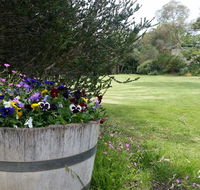 Padthaway Caravan Park - Gold Coast 4U