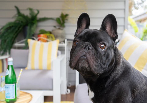 Palm Beach Cottage - Accommodation Gold Coast 2