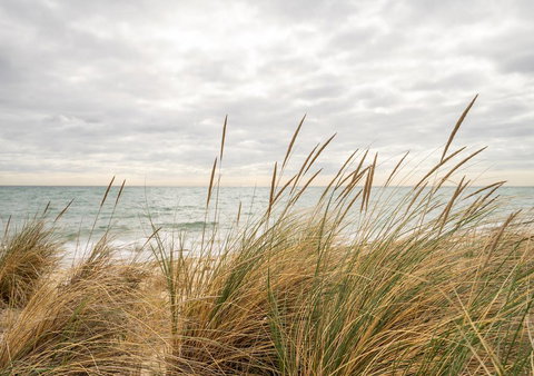 Palm Beach Cottage - Accommodation Gold Coast 1