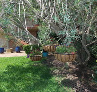 Paradise Apartment - Accommodation Gold Coast