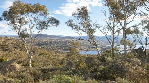 Peak View House - Accommodation Gold Coast 3
