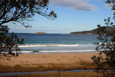 Pebbly Beach Shacks - Accommodation Gold Coast 0