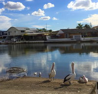 Pelican Cove Apartments - Accommodation Gold Coast