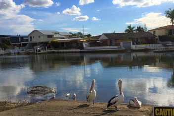 Pelican Cove Apartments with Accommodation Gold Coast