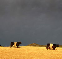 Peppertree Hill - Gold Coast 4U