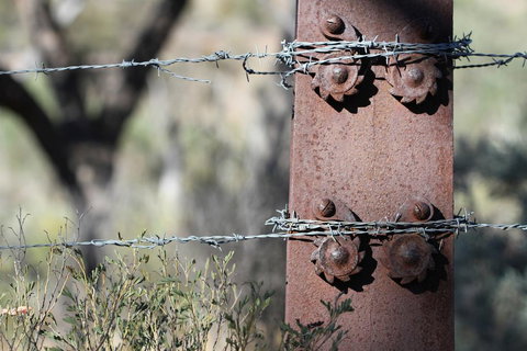 Pichi Richi Park - Accommodation Gold Coast 2