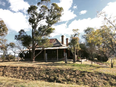 Pieter Van Gent Winery & Vineyard - Gold Coast 4U 3