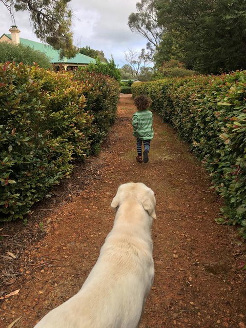 Pilgrims Rest Country House - 1 Gold Coast 3