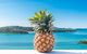 Pineapple House Whitsundays - thumb 0