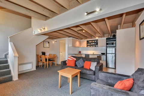 Pinot - Accommodation Gold Coast 0