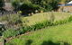 Poppies House - thumb 1