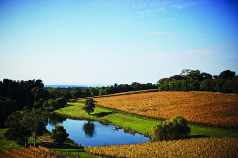 Port Phillip Estate - Accommodation Gold Coast 2