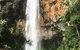Purling Brook Falls Gwongorella - thumb 0