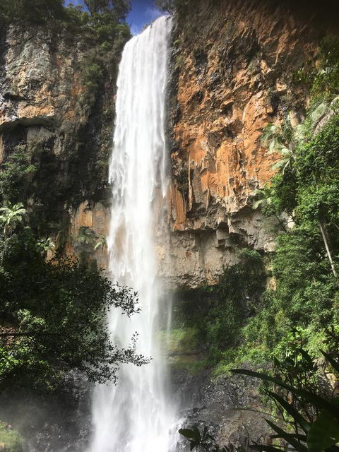 Purling Brook Falls Gwongorella - Accommodation Gold Coast 0
