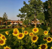Quirindi Sunflower Motor Inn - Gold Coast 4U
