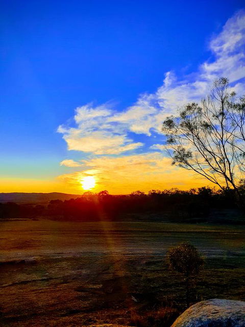 R & R On The Ravine - Accommodation Gold Coast 3
