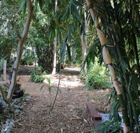 Rainforest Water Front River Shack Secluded. - Accommodation Gold Coast