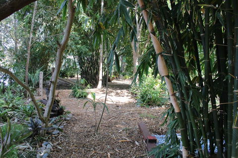 Rainforest, Water Front, River Shack, Secluded. - Accommodation Gold Coast 0