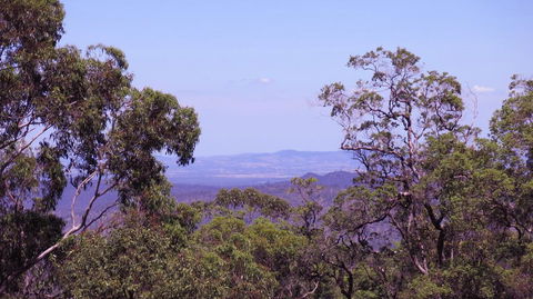 Ravensbourne Escape - Cedar Lodge - Accommodation Gold Coast 0