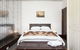Ravenswood - Luxurious, Spacious 4 Br, Walk To Clovelly Beach - thumb 3