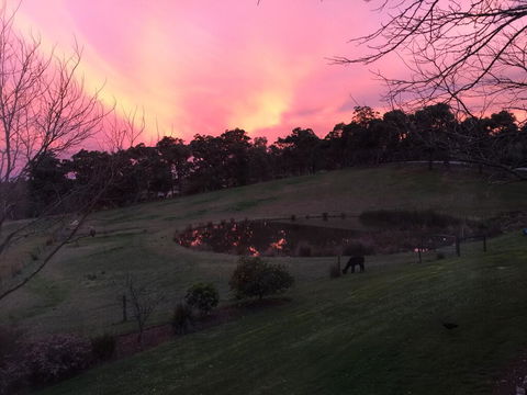 Raynella Alpaca Farmstay - Gold Coast 4U 1