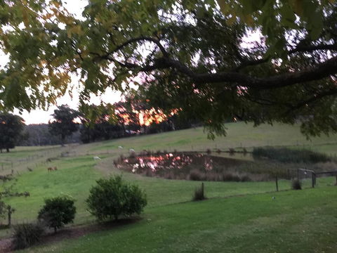 Raynella Alpaca Farmstay - Gold Coast 4U 2