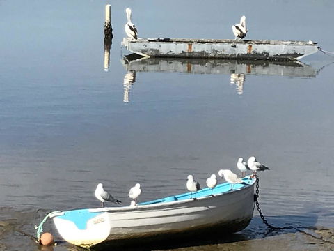 Reflections On Merimbula Lake - Accommodation Gold Coast 2