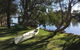 Reflections On The Murray River Near Mandurah - thumb 1