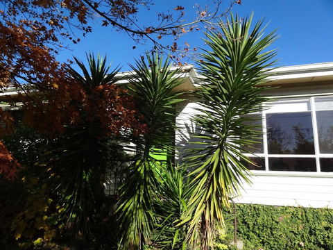 Retro Retreat - Accommodation Gold Coast 2