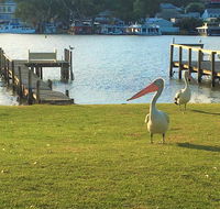 Riverfront Getaway - Mannum - Gold Coast 4U