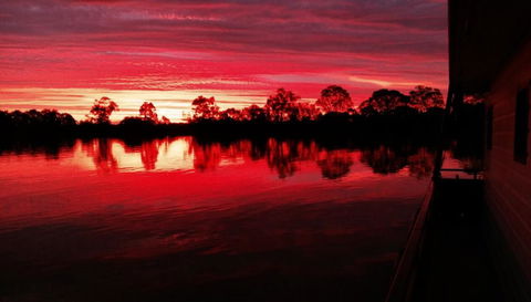 Rivershack Pet Friendly - Accommodation Gold Coast 3