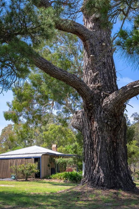 Rose Cottage - Accommodation Gold Coast 3