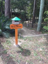 Book Long Beach Accommodation Vacations Accommodation Gold Coast Accommodation Gold Coast