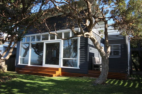 SEA URCHIN - Accommodation Gold Coast 0