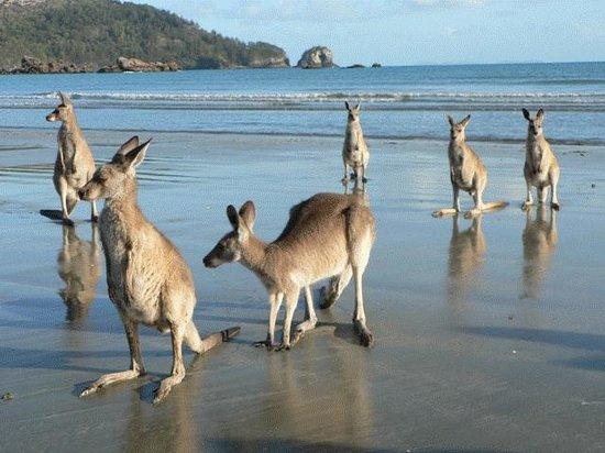 Clairview QLD Accommodation Gold Coast