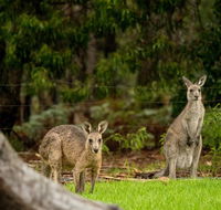 Secura Lifestyle Countryside Kalaru - Accommodation Gold Coast