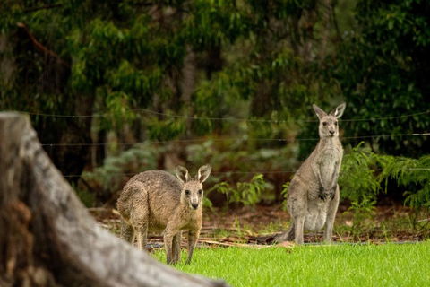 Secura Lifestyle Countryside Kalaru - Accommodation Gold Coast 0