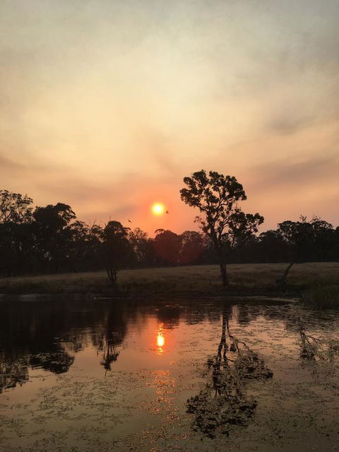 Serenity On Stanthorpe - Accommodation Gold Coast 2