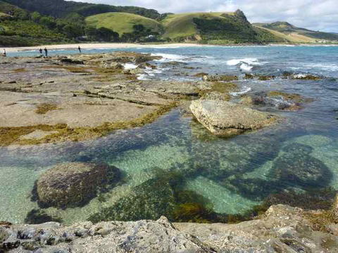 Skenes Creek Beachfront Caravan Park - Accommodation Gold Coast 3