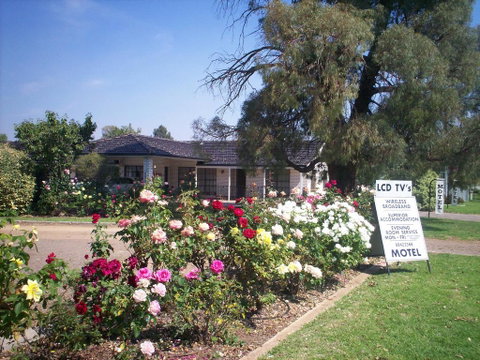 Southern Comfort Motor Inn - Accommodation Gold Coast 1