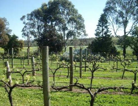 Southern Vales Bed & Breakfast - 1 Gold Coast 1