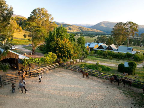 Spring Spur - Gold Coast 4U 3