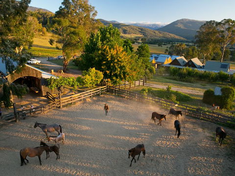 Spring Spur - Gold Coast 4U 0