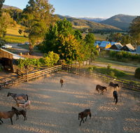Spring Spur - Gold Coast 4U