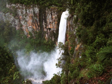 Springbrook Lyrebird Retreat - Accommodation Gold Coast 2