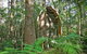 Springbrook Mountain Chalets - thumb 0