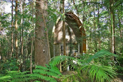 Springbrook Mountain Chalets - Accommodation Gold Coast 0