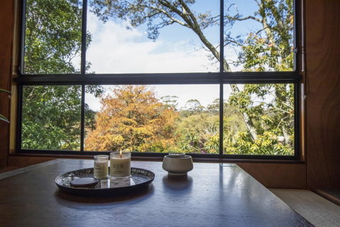 Springbrook25 Upper Apartment - Accommodation Gold Coast 0
