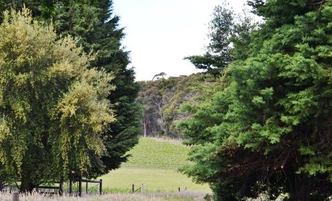 Springhill Winery - Accommodation Gold Coast 1